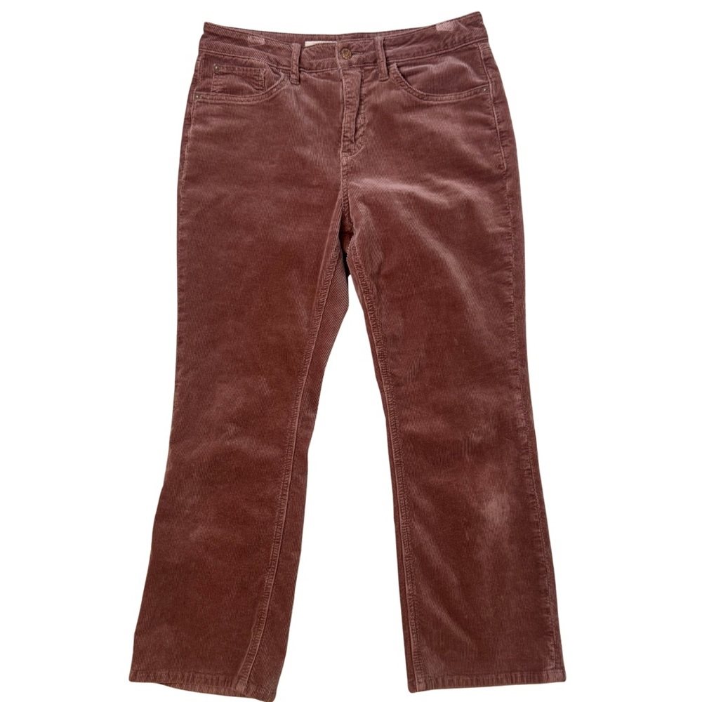 Anthropologie Pilcro Capri Corduroy Pants Women’s size 30 burnt orange